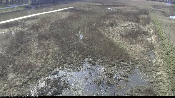 Cell 1_24-03-23_16-37-41-64