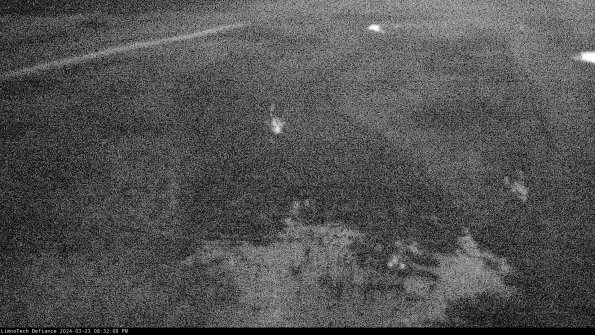 Cell 1_24-03-23_20-32-08-65