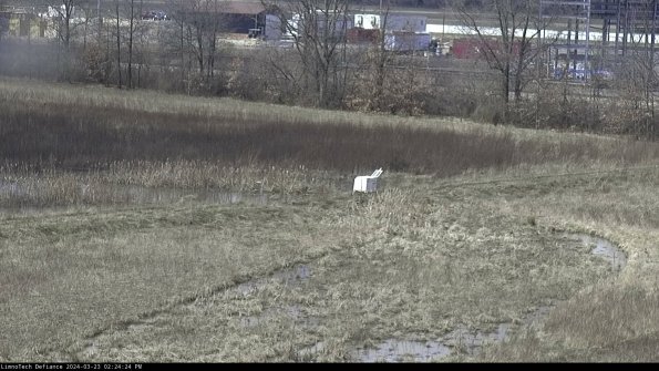 Cell 2 to 3_24-03-23_14-24-24-74