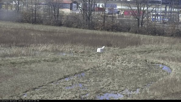 Cell 2 to 3_24-03-23_15-31-23-68