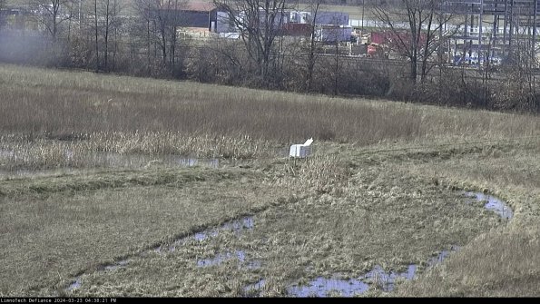 Cell 2 to 3_24-03-23_16-38-21-85