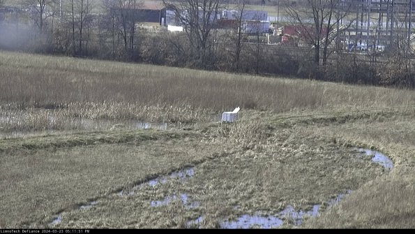 Cell 2 to 3_24-03-23_17-11-51-73