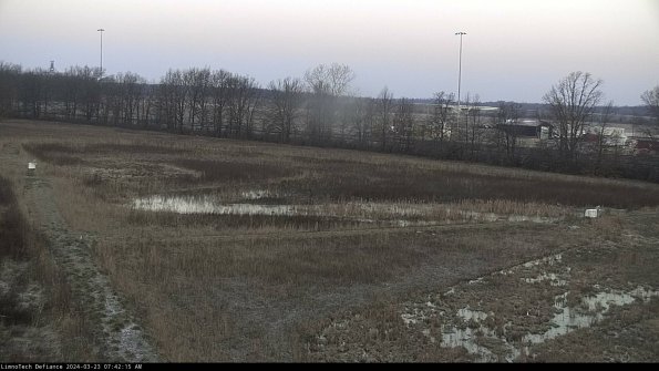 Cell 2_24-03-23_07-42-15-70