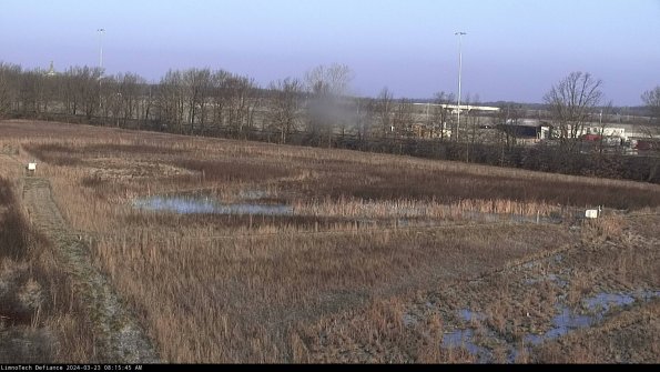 Cell 2_24-03-23_08-15-45-70