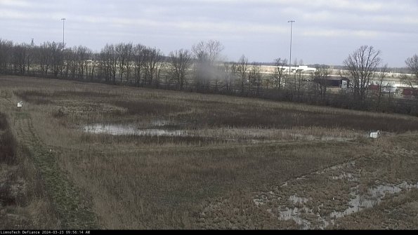 Cell 2_24-03-23_09-56-14-68