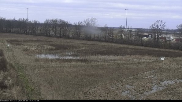 Cell 2_24-03-23_10-29-43-73