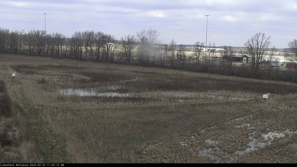 Cell 2_24-03-23_11-03-13-71