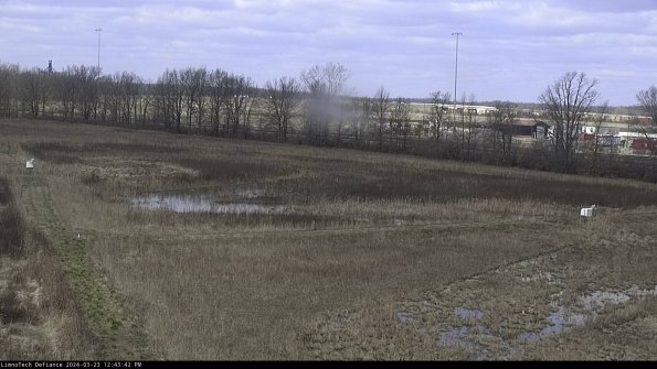 Cell 2_24-03-23_12-43-42-65