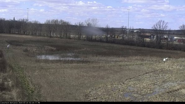 Cell 2_24-03-23_14-24-11-66