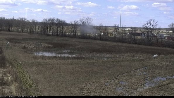 Cell 2_24-03-23_14-57-40-68