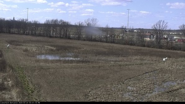 Cell 2_24-03-23_15-31-10-67