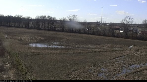 Cell 2_24-03-23_17-11-38-68