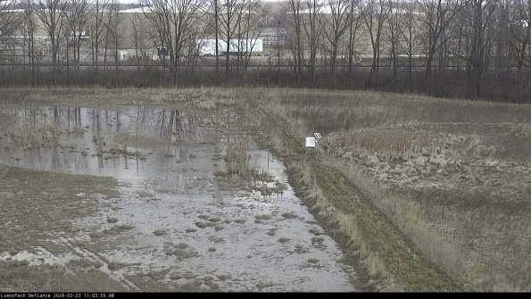 Cell 3 to 4_24-03-23_11-03-55-65