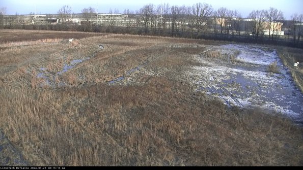 Cell 3_24-03-23_08-16-13-66