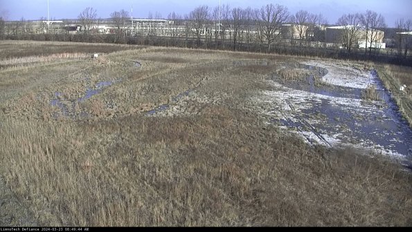 Cell 3_24-03-23_08-49-44-65