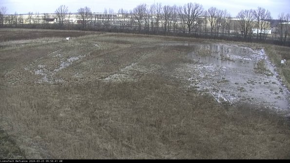 Cell 3_24-03-23_09-56-41-87