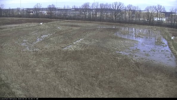 Cell 3_24-03-23_10-30-11-62