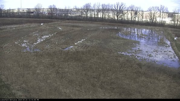 Cell 3_24-03-23_12-10-40-66