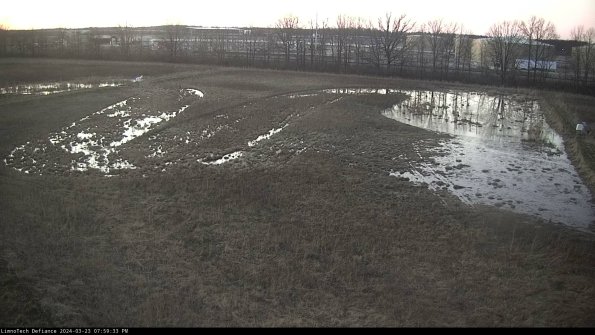 Cell 3_24-03-23_19-59-33-66