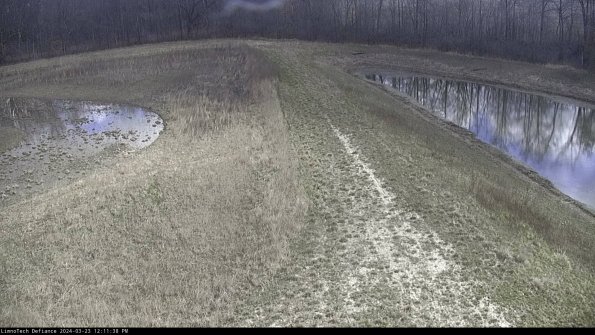 Cell 4 to Basin_24-03-23_12-11-38-66