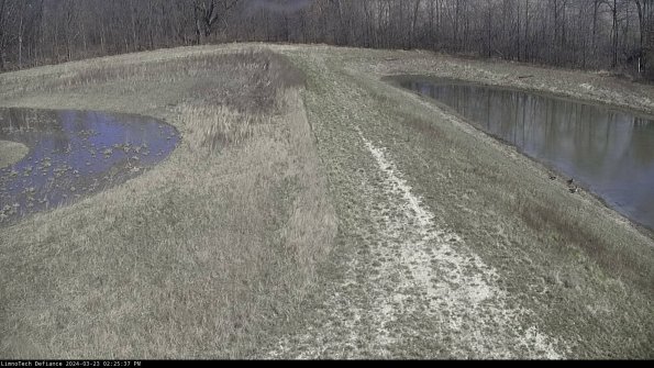 Cell 4 to Basin_24-03-23_14-25-37-68