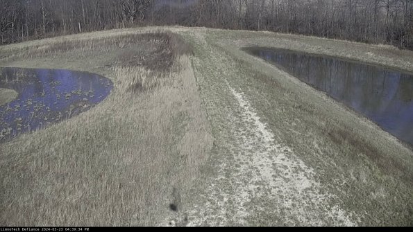 Cell 4 to Basin_24-03-23_16-39-34-65