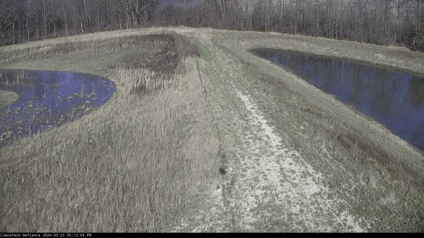 Cell 4 to Basin_24-03-23_17-13-04-64