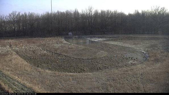 Cell 4_24-03-23_08-50-12-64