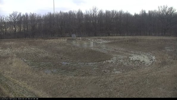 Cell 4_24-03-23_09-57-09-63