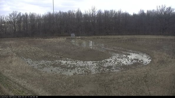 Cell 4_24-03-23_11-04-09-66