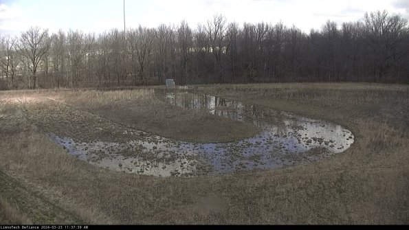 Cell 4_24-03-23_11-37-39-64