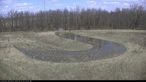 Cell 4_24-03-23_14-25-07-62