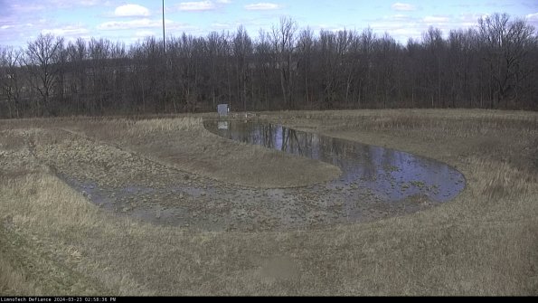 Cell 4_24-03-23_14-58-36-67