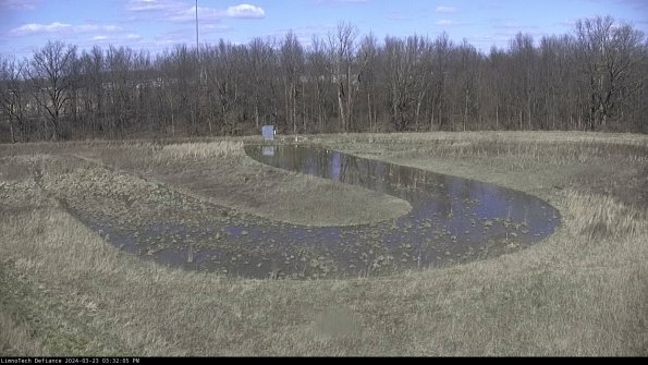 Cell 4_24-03-23_15-32-05-65