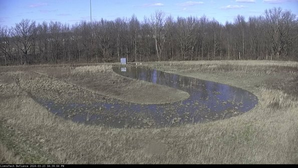 Cell 4_24-03-23_16-39-04-66