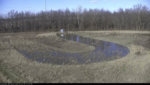 Cell 4_24-03-23_17-12-34-64