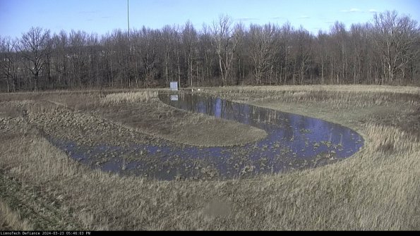 Cell 4_24-03-23_17-46-03-65