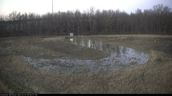 Cell 4_24-03-23_20-00-01-65