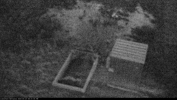 Flume_24-03-23_20-31-55-67