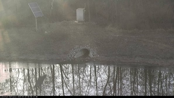 Basin Inflow_24-03-24_08-36-12-63