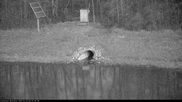 Basin Inflow_24-03-24_20-19-29-52