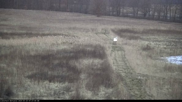 Cell 1 to 2_24-03-24_07-27-09-52