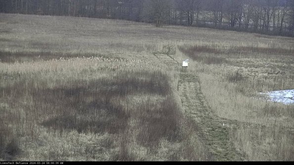 Cell 1 to 2_24-03-24_08-00-39-53