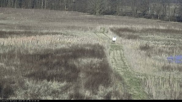 Cell 1 to 2_24-03-24_08-34-08-50