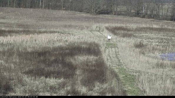 Cell 1 to 2_24-03-24_09-07-36-51