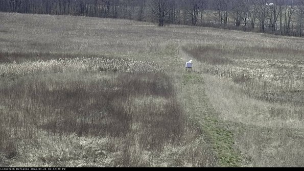 Cell 1 to 2_24-03-24_14-42-29-50