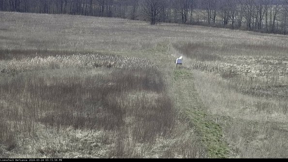 Cell 1 to 2_24-03-24_15-15-59-52