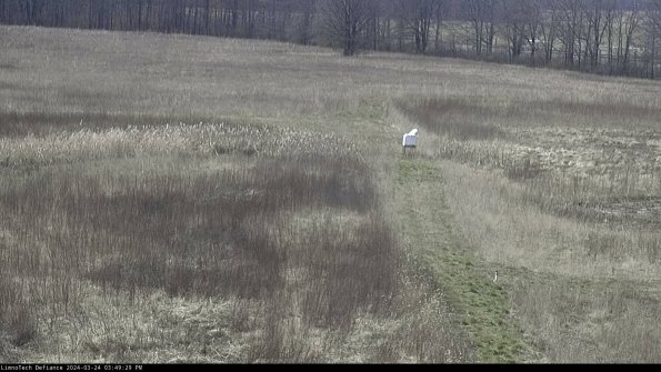 Cell 1 to 2_24-03-24_15-49-29-50