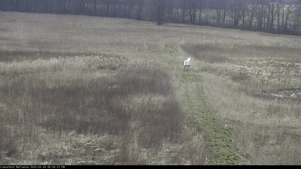 Cell 1 to 2_24-03-24_16-56-27-50