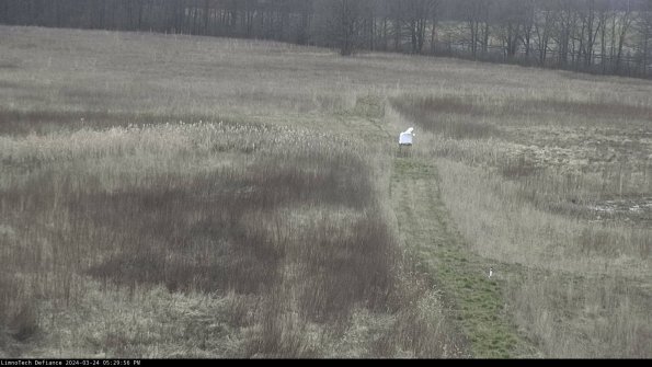 Cell 1 to 2_24-03-24_17-29-56-52